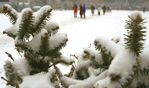 12月8日,一些烏魯木齊市民在人民廣場(chǎng)享受雪趣。