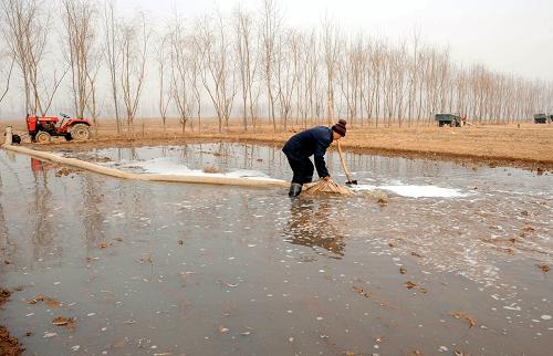 2月5日,新河縣一位農(nóng)民在澆灌待播種的土地。新華社記者 楊世堯 攝