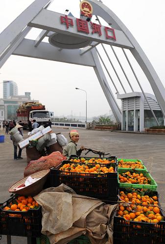 一名越南邊民在河口口岸準(zhǔn)備將中國(guó)的柑橘運(yùn)回越南(3月21日攝)。新華社記者 藺以光攝