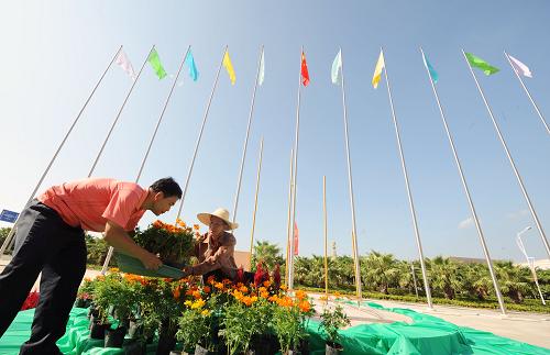 9月7日,工人在擺放鮮花裝扮第十三屆中國(guó)國(guó)際投資貿(mào)易洽談會(huì)主會(huì)場(chǎng)。第十三屆中國(guó)國(guó)際投資貿(mào)易洽談會(huì)將于9月8日在福建廈門(mén)國(guó)際會(huì)展中心開(kāi)幕,目前客商邀請(qǐng)、組展布展、論壇研討會(huì)、項(xiàng)目對(duì)接和綜合保障等各項(xiàng)籌備工作均已準(zhǔn)備就緒,裝扮一新的廈門(mén)處處洋溢著喜迎盛會(huì)的氣氛。 新華社記者 姜克紅攝