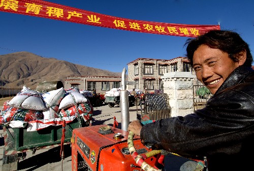12月27日,西藏達(dá)孜縣達(dá)杰鄉(xiāng)農(nóng)民帕加把裝滿青稞的拖拉機(jī)開進(jìn)食品廠出售。 新華社記者 覺果 攝