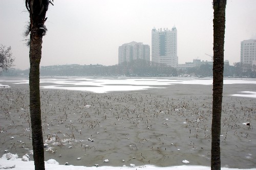 這是被冰雪覆蓋的武漢東湖湖面(1月27日攝)。 新華社記者 余國慶 攝