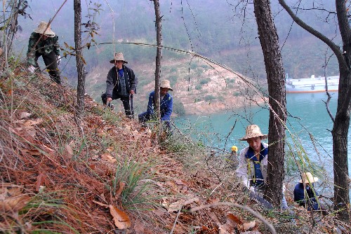 2月25日,湖北省秭歸縣茅坪鎮(zhèn)蘭陵溪村的村民對蓄水線下的林木、雜草進行清理。 新華社發(fā)(鄭家裕 攝)