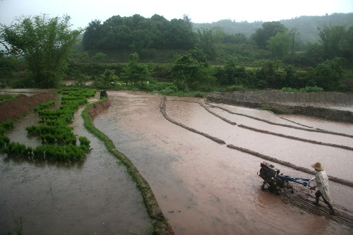 5月4日,云南普洱市江城哈尼族彝族自治縣康平鄉(xiāng)農(nóng)民在雨中翻犁水田。入夏時(shí)節(jié),與老撾、越南接壤的云南普洱市江城哈尼族彝族自治縣普遍降雨,當(dāng)?shù)剞r(nóng)民抓緊時(shí)機(jī)趕插稻秧。目前,全縣57000多畝山區(qū)水稻田栽插工作已經(jīng)過半,預(yù)計(jì)5月中旬可全部完成。 新華社記者 陳海寧 攝