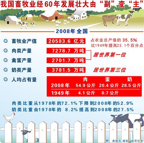 圖表:我國畜牧業(yè)經(jīng)60年發(fā)展壯大由“副”變“主” 新華社發(fā)