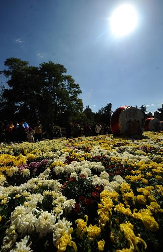 10月3日,人們在太原市迎澤公園的菊花展上參觀。 新華社記者 燕雁攝
