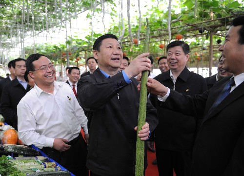 這是5月9日,習(xí)近平在壽光蔬菜高科技示范園調(diào)研。 新華社記者 馬占成 攝