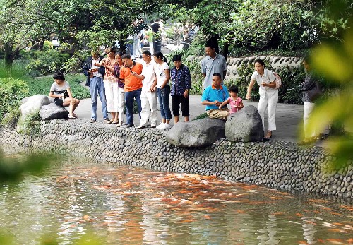 6月30日,游客在四川都江堰景區(qū)離堆公園觀魚。 因四川汶川地震暫時關(guān)閉的世界文化遺產(chǎn)“都江堰景區(qū)”,從6月14日起推出3個月內(nèi)免費(fèi)的“關(guān)愛世界遺產(chǎn)、感恩全社會”震后特種旅游。目前每天接待游客達(dá)1萬余人次,其中外省游客約4000人次,游客流量已基本恢復(fù)到震前水平。 新華社記者 章磊 攝