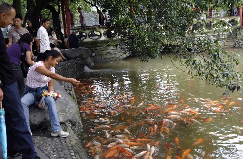 6月30日,游客在四川都江堰景區(qū)離堆公園喂魚。 因四川汶川地震暫時關(guān)閉的世界文化遺產(chǎn)“都江堰景區(qū)”,從6月14日起推出3個月內(nèi)免費(fèi)的“關(guān)愛世界遺產(chǎn)、感恩全社會”震后特種旅游。目前每天接待游客達(dá)1萬余人次,其中外省游客約4000人次,游客流量已基本恢復(fù)到震前水平。 新華社記者 章磊 攝