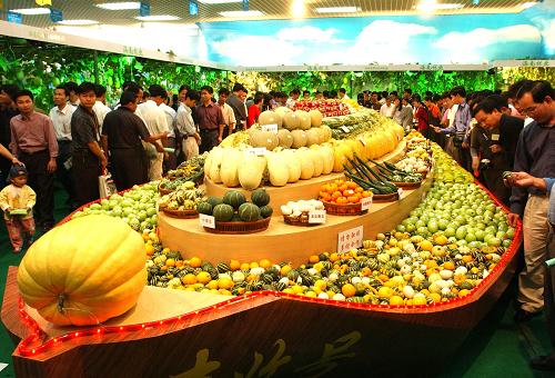 海南冬季瓜果蔬菜供應(yīng)全國(guó)各地(資料照片)。 新華社記者 姜恩宇 攝