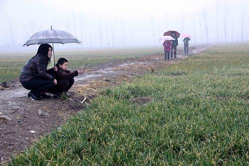 2月8日,在河南省博愛縣柏山鎮(zhèn)馬營村,村民在田間查看雨情。 新華社發(fā)(程全 攝)