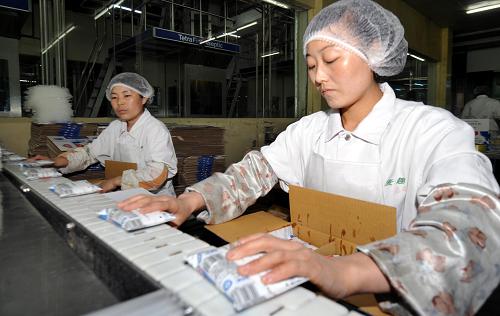 新疆麥趣爾乳業(yè)有限公司包裝車間內(nèi),工人將生產(chǎn)出的袋裝奶裝箱(4月2日攝)。 新華社記者 趙戈 攝