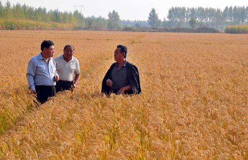 9月26日,吉林省農(nóng)安縣農(nóng)業(yè)廣播學(xué)校校長蒲樹雙(左一)在農(nóng)安縣前崗鄉(xiāng)永德村向農(nóng)民介紹水稻秋收技術(shù)問題。吉林省農(nóng)安縣是我國傳統(tǒng)的產(chǎn)糧狀元縣,近些年來,農(nóng)安縣實施高產(chǎn)創(chuàng)建活動,把先進(jìn)實用的技術(shù)直接到田進(jìn)戶,增產(chǎn)效果比較明顯。今年農(nóng)安縣播種面積37.5萬公頃,其中玉米31.7萬公頃,水稻1.2萬公頃,糧食產(chǎn)量預(yù)計能達(dá)到40億公斤左右。新華社記者 齊海山 攝