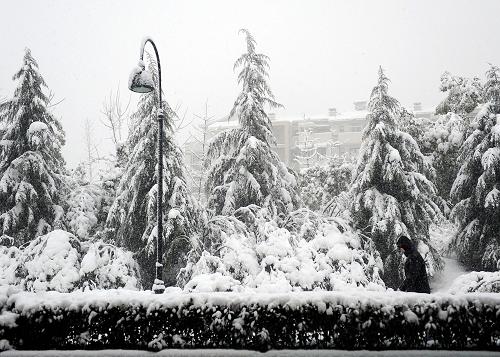 1月20日早上,杭州市區(qū)被厚厚的積雪覆蓋。新華社記者 徐昱 攝