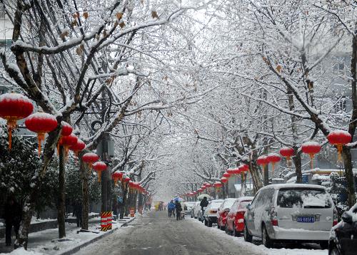 1月20日早上,雪中的杭州市區(qū)。新華社記者 徐昱 攝