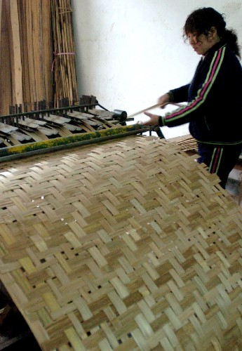 貴州赤水大同鎮(zhèn)農(nóng)民用竹編機(jī)編制竹席(12月1日攝)。 近年來,貴州省赤水市因地制宜,以竹業(yè)強(qiáng)市,大力培育竹子種植和加工業(yè)。目前,赤水市竹林面積達(dá)110萬畝,全市農(nóng)民人均年收入的近50%來自竹子種植、粗加工及竹工藝品,遍山翠竹成為赤水農(nóng)民實(shí)現(xiàn)脫貧致富、持續(xù)增收的寶藏。 新華社記者 谷欣容 攝
