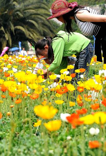 5月1日,游客正在昆明世博園里賞花。近日,昆明春光明媚,繁花似錦,吸引了眾多國內(nèi)外游客來此游玩。新華社記者 李倩 攝