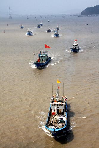 8月11日上午,浙江舟山漁港內(nèi)的漁船出?;謴?fù)生產(chǎn)。當(dāng)日,浙江省舟山市防汛防旱防臺指揮部解除了防御臺風(fēng)“莫拉克”的警報,在舟山漁港內(nèi)避風(fēng)的近萬艘漁船陸續(xù)駛?cè)霒|海各漁場恢復(fù)生產(chǎn)。新華社發(fā)(邢守秒 攝)