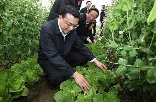 這是12月13日,李克強(qiáng)考察清遠(yuǎn)市蓮塘村經(jīng)濟(jì)合作社蔬菜基地。新華社記者姚大偉攝