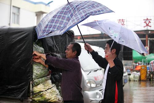 10月23日,在福建廈門市高崎蔬菜批發(fā)市場(chǎng),人們?cè)陲L(fēng)雨中裝運(yùn)蔬菜。新華社發(fā)(沈達(dá) 攝)