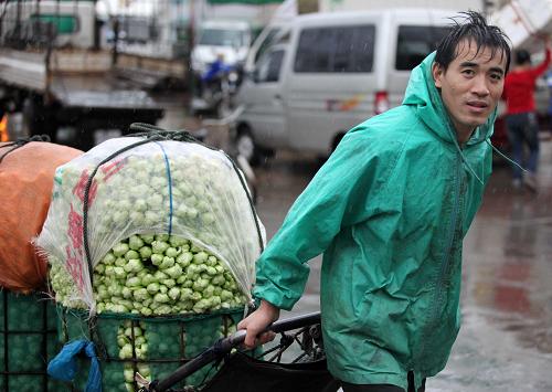 10月23日,一名工人在福建廈門市高崎蔬菜批發(fā)市場(chǎng)頂著風(fēng)雨裝運(yùn)蔬菜。新華社發(fā)(沈達(dá) 攝)