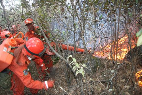 2月28日,在云南省麗江市玉龍縣黃山鎮(zhèn)五臺(tái)辦事處所屬集體山林,麗江森警支隊(duì)官兵正在滅火。李宗榮攝(新華社發(fā))