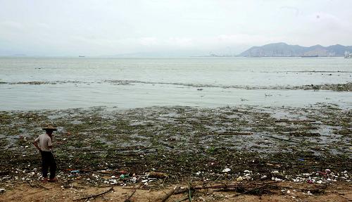 6月17日,廈門鼓浪嶼港仔后海濱浴場漂浮著大量垃圾。新華社發(fā)(豐曉飛 攝)
