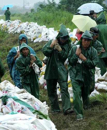 7月11日,人們?cè)诎不帐∈徍卸霕蜴?zhèn)加高加固堤壩,以防水患。