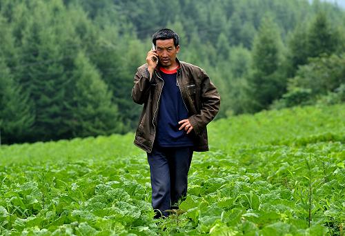 8月14日,湖北宣恩縣椿木營鄉(xiāng)的一名農民在田間聯(lián)系蔬菜外銷事宜。新華社發(fā)(宋文 攝)