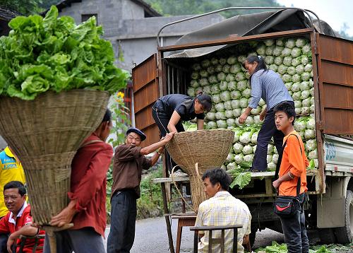 8月14日,湖北宣恩縣椿木營鄉(xiāng)農民在銷售高山無公害蔬菜。新華社發(fā)(宋文 攝)