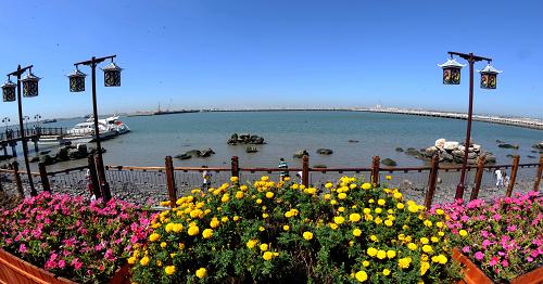 初建成的“濱海鯉魚門”海鮮美食街休閑區(qū)(8月15日攝)。新華社記者劉海峰攝