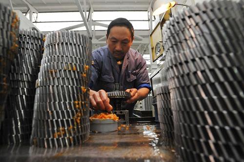軍工企業(yè)貴州群建精密機(jī)械有限公司生產(chǎn)車間內(nèi),一名工人正在工作。該軍工企業(yè)每年和近30家中小企業(yè)開展各項(xiàng)合作,大大提高了產(chǎn)品研發(fā)速度,降低了成本(12月18日攝)。新華社記者 歐東衢