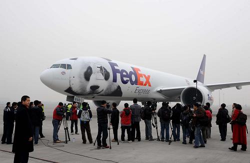 2月5日,大熊貓“泰山”“美蘭”乘坐的專機(jī)抵達(dá)成都雙流國(guó)際機(jī)場(chǎng)。新華社記者 陳?ài)?攝