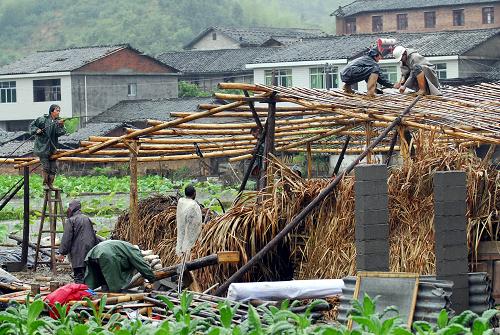 5月19日,在福建省建寧縣黃埠鄉(xiāng)大余村,村民冒雨搶修遭龍卷風(fēng)摧毀的食用菌房。5月18日晚,福建省黃埠鄉(xiāng)突遭暴雨、龍卷風(fēng)和冰雹襲擊,導(dǎo)致民房和農(nóng)田受損。新華社發(fā)(劉振勇 攝)