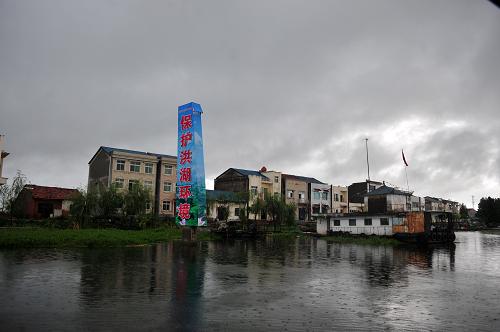 7月21日,洪湖降雨仍在持續(xù),防洪壓力持續(xù)加大。當日,洪湖水位達到26.77米,超過26.2米的警戒水位運行已經8天。原先“接天蓮葉無窮碧”的洪湖如今大部分荷花都被淹入水下,漁民養(yǎng)殖的螃蟹開始出現(xiàn)大批的窒息死亡,損失慘重。受到洪水浸泡多日的洪湖圍堤不堪重負,由于降雨還在持續(xù),洪湖防洪出現(xiàn)巨大壓力。新華社記者 郝同前 攝