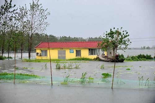 7月21日,建在湖內高地上的野生植物保護點看護房已被水圍困。新華社記者 郝同前 攝