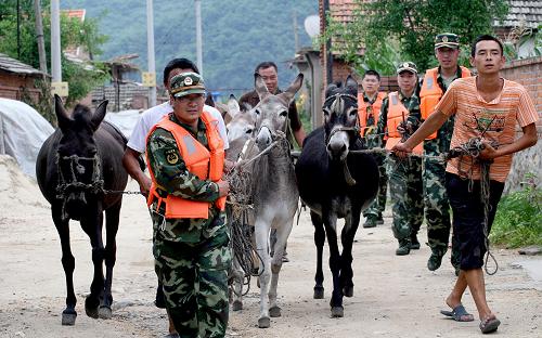 8月4日,丹東邊防支隊(duì)古樓子邊防派出所官兵幫助古樓子鄉(xiāng)村民轉(zhuǎn)移牲畜。新華社發(fā)(喬俊杰 攝)