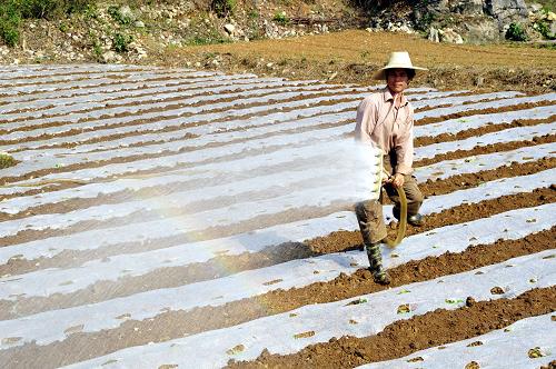 3月5日,廣西百色市靖西縣新靖鎮(zhèn)環(huán)河村村民在地里噴淋,抗旱保苗。新華社發(fā)(趙京武 攝)