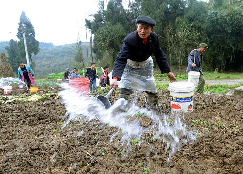 3月8日,四川廣安市鄰水縣御臨鎮(zhèn)茅白村村民用從遠處挑來的水灌溉苗床。目前,四川省廣安、涼山、攀枝花、綿陽等地旱情持續(xù),春耕生產(chǎn)受到嚴重影響,當?shù)卣腿罕姺e極抗旱,盡全力確保春耕。新華社發(fā)