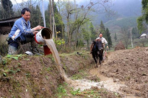 3月8日,四川廣安市鄰水縣御臨鎮(zhèn)茅白村村民利用從遠處挑來的水澆灌即將春種的田地。目前,四川省廣安、涼山、攀枝花、綿陽等地旱情持續(xù),春耕生產(chǎn)受到嚴重影響,當?shù)卣腿罕姺e極抗旱,盡全力確保春耕。新華社發(fā)