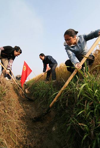 12月1日,在柳州市柳城縣太平鎮(zhèn)安樂(lè)屯農(nóng)田灌溉區(qū),幾名共青團(tuán)員修整水渠。新華社發(fā)(鄧克軼 攝)
