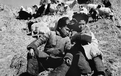 圖為1951年,青海省的兩個(gè)牧童在放羊時(shí),溫習(xí)冬學(xué)教師教給他們的生字。 新華社發(fā)(資料照片)