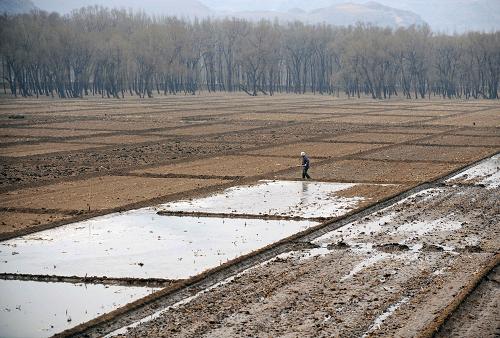 5月5日,一名農(nóng)民在赤峰市松山區(qū)境內(nèi)的田間澆地、準(zhǔn)備播種。近日,隨著北方氣溫的回升,內(nèi)蒙古春耕生產(chǎn)進(jìn)入關(guān)鍵時(shí)期,針對(duì)當(dāng)前墑情和生產(chǎn)實(shí)際情況,各地制定了整套完備的應(yīng)對(duì)春旱預(yù)案,科學(xué)調(diào)配灌溉水源。今年內(nèi)蒙古預(yù)計(jì)糧食播種面積8600萬畝左右,農(nóng)作物總播面積將穩(wěn)定在一億畝以上。新華社記者 張領(lǐng) 攝