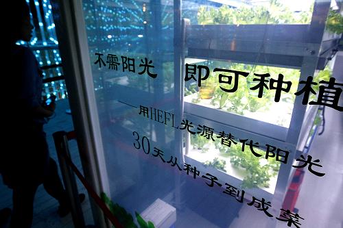 這是上海企業(yè)聯(lián)合館內(nèi)展示的不需要陽(yáng)光的“光波菜園”(5月6日攝)。新華社記者 陳飛 攝