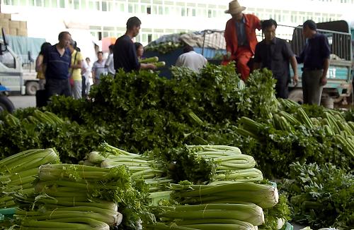 菜農(nóng)在蘭州瑞泰公司銷售芹菜(6月21日攝)。蘭州高原夏菜以這里為集散地,銷往全國各地。針對(duì)今年以來蔬菜市場價(jià)格上漲的實(shí)際,甘肅省從保障市場供應(yīng)做起,除進(jìn)一步擴(kuò)大蔬菜種植面積外,還積極進(jìn)行省內(nèi)區(qū)域市場調(diào)配,做到時(shí)令蔬菜平穩(wěn)上市。與5月份相比,6月中旬,蘭州市場蔬菜價(jià)格已經(jīng)下降了15%左右。新華社記者 連振祥 攝