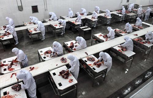 在南陽市一個肉牛屠宰加工企業(yè)的生產(chǎn)車間內(nèi),工人們在對牛肉進行包裝(資料照片)。在農(nóng)業(yè)尤其是糧食連年獲得豐收的同時,河南省農(nóng)業(yè)產(chǎn)業(yè)化發(fā)展也不斷邁上新臺階。據(jù)統(tǒng)計,目前全省各類農(nóng)業(yè)產(chǎn)業(yè)化組織達到13000多個,形成了一批像雙匯、思念、三全、華英等不同層次、不同類別、覆蓋全省的農(nóng)業(yè)產(chǎn)業(yè)化龍頭企業(yè),初步實現(xiàn)了由“賣原糧”到“賣產(chǎn)品”、由“中國糧倉”到“國人廚房”的轉(zhuǎn)變。新華社記者 王頌 攝