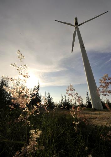 這是位于海南省東方市的風(fēng)力發(fā)電機(jī)組(8月22日攝)。新華社記者 郭程 攝