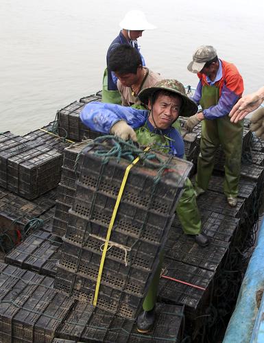 5月9日,在福建省莆田市埭頭鎮(zhèn)石城村碼頭,鮑農(nóng)將鮑魚網(wǎng)箱搬到活水船上,準(zhǔn)備北上。新華社發(fā)(林劍冰 攝)