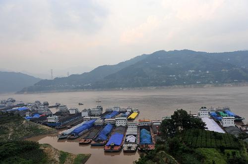 7月31日,眾多船舶在三峽大壩上游湖北省秭歸縣沙灣錨地停靠并等待過閘。新華社發(fā)(王輝富 攝)