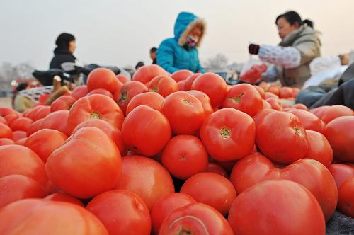 12月12日,消費(fèi)者在山東省青州市一早市上購買蔬菜。據(jù)新華社全國農(nóng)副產(chǎn)品和農(nóng)資價(jià)格行情系統(tǒng)監(jiān)測,11月初以來全國蔬菜價(jià)格持續(xù)上漲,目前近八成監(jiān)測的蔬菜價(jià)格高于去年同期。與10月31日相比,12月11日,21種蔬菜價(jià)格全國日平均價(jià)格上漲21.7%。新華社發(fā)(王繼林 攝)